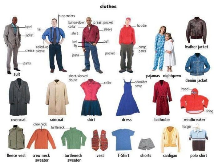 Types of Shirts