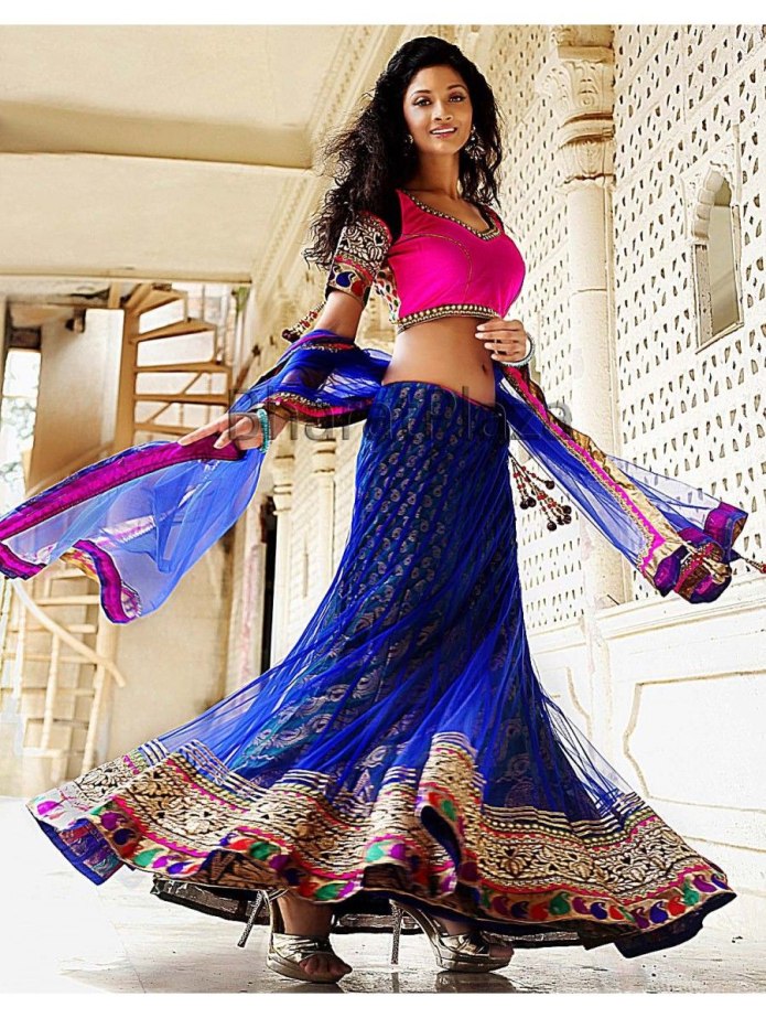 Backless Choli Blouse