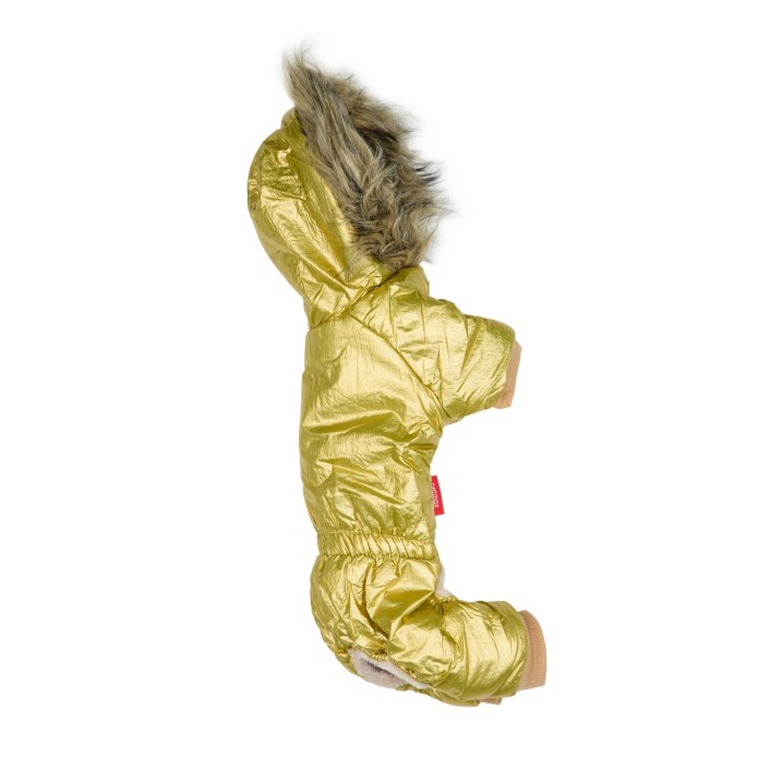 Золотой комбинезон с крыльями