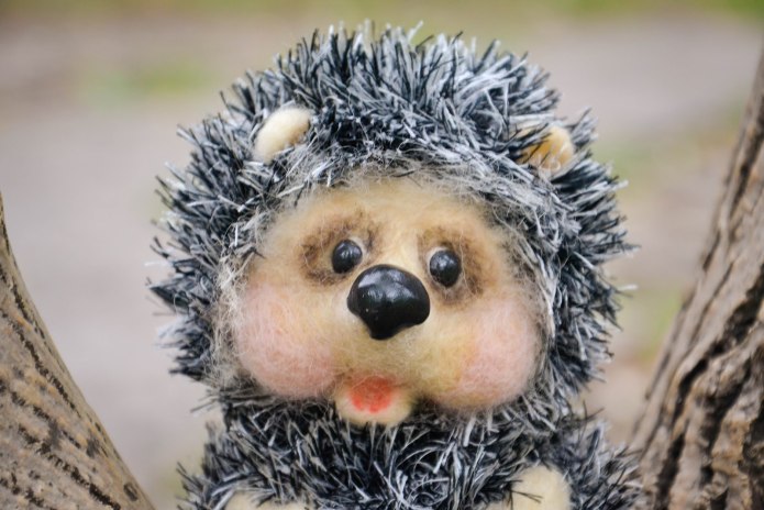 Ежик в фуражке