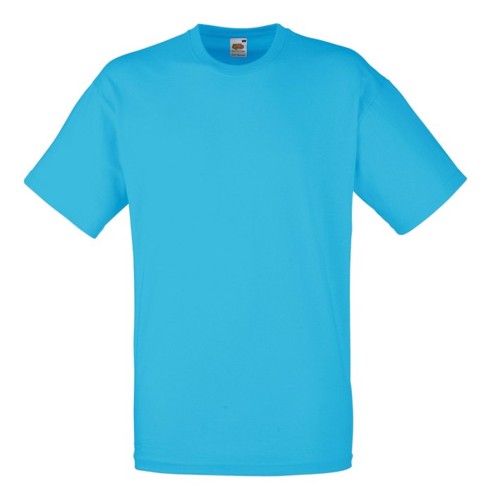 Футболка мужская "Valueweight t" голубой