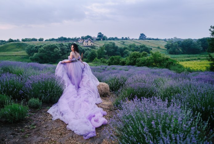 Velvet Сари 2021