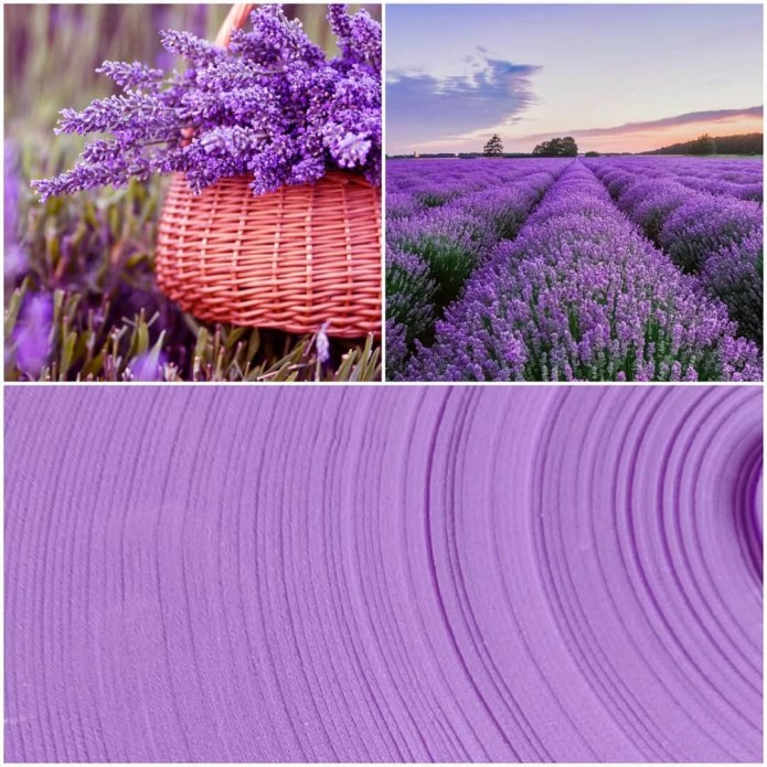 Ламбре Лавандовые поля