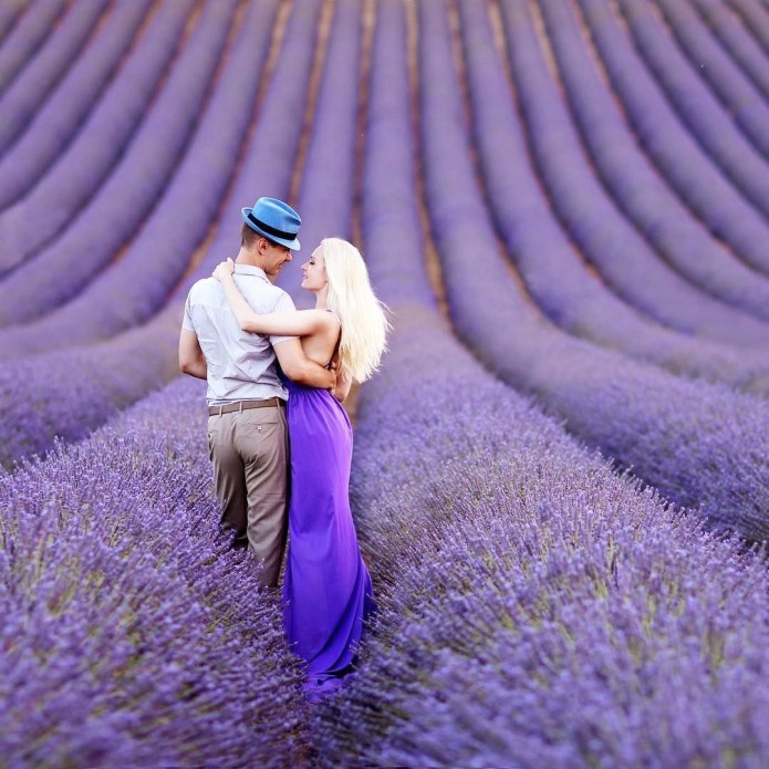 Лаванда (Lavandula) Эстетика