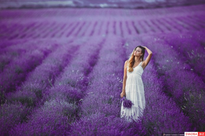 Девушка в лавандовом поле