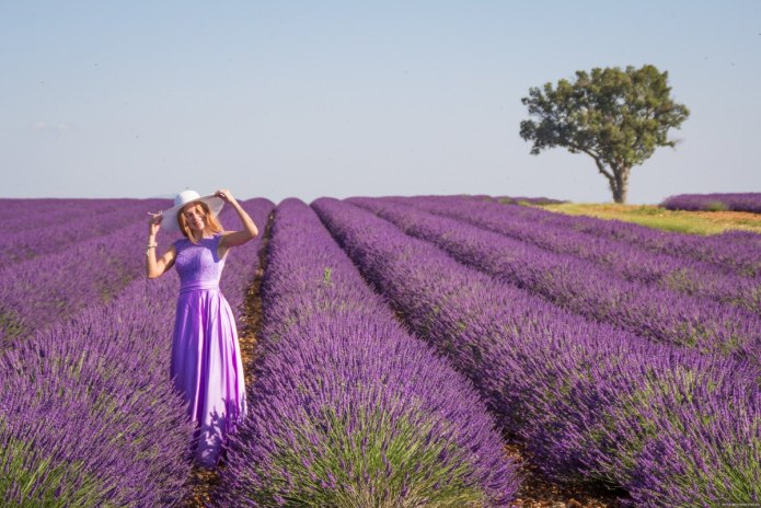 Лавандовая ферма Ильский