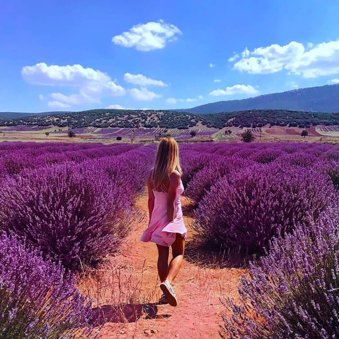 Топ в индийском стиле