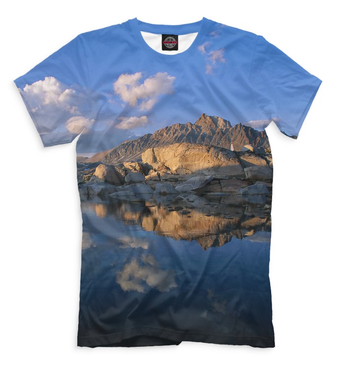 Мужские футболки с принтом