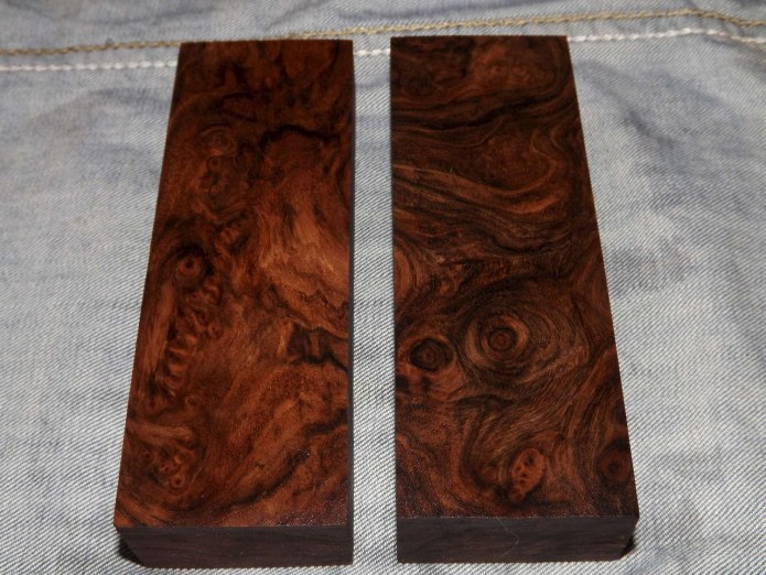 Кап корешок на дереве