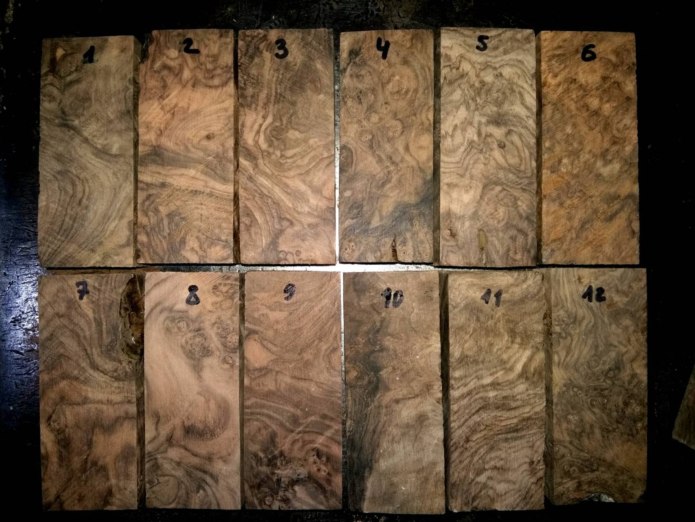 Кап тополя фото