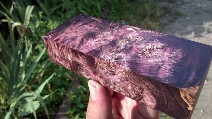 Желтая Акация древесина