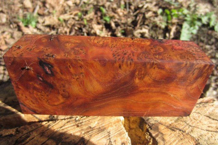 Темно коричневый цвет