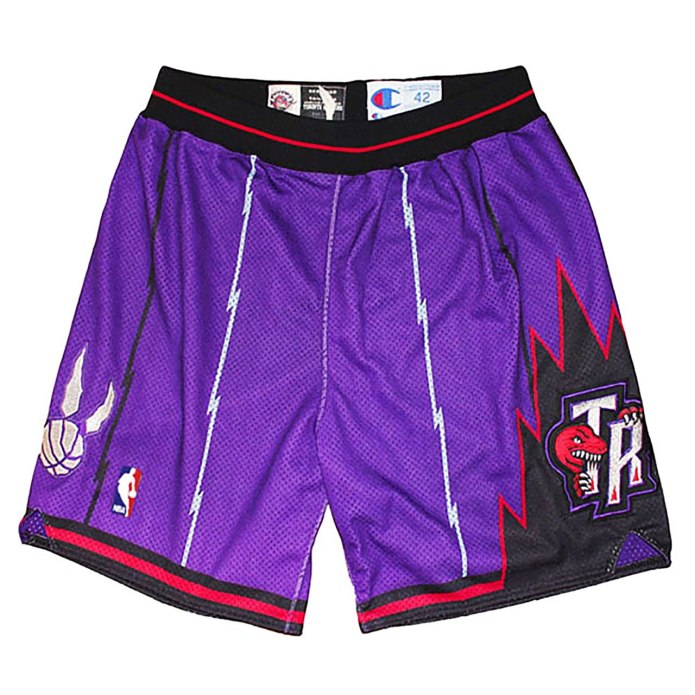 Шорты Toronto Raptors