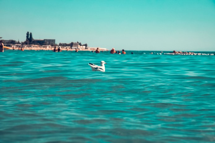 Пляж Лазурный берег Евпатория море