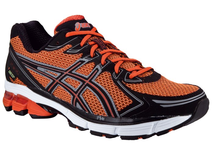 Кроссовки ASICS gt 2170