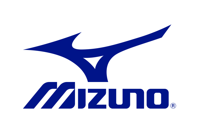 Мизуно logo