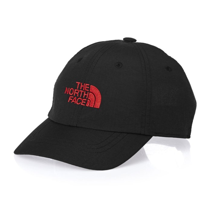 Кепка the North face