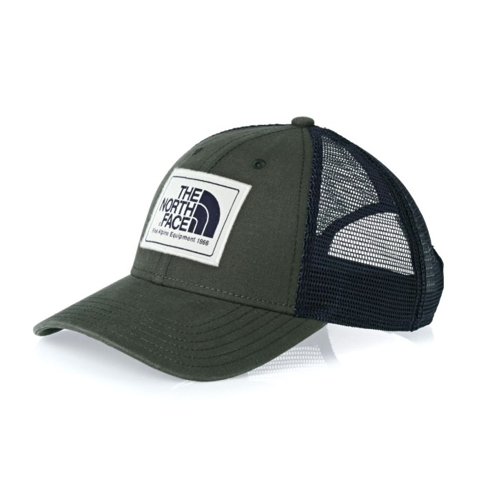 Кепка the North face оригинал