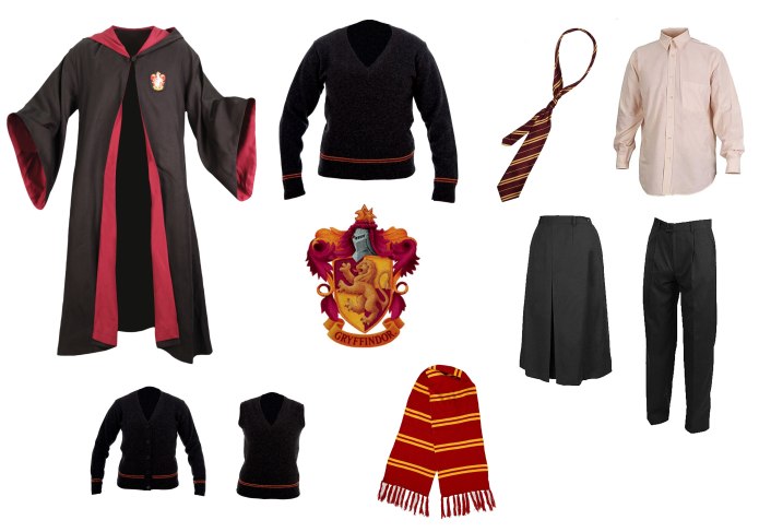 Одежда Harry Potter SPAO