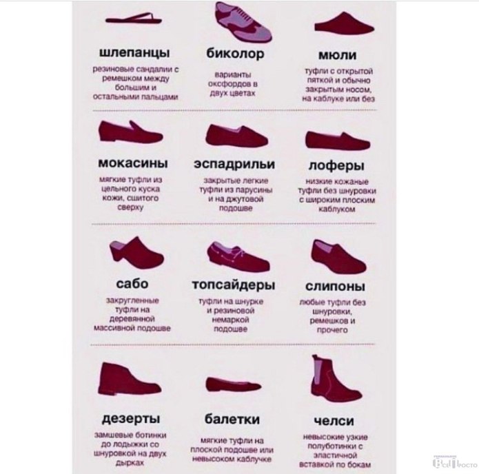 Типы обуви и их названия