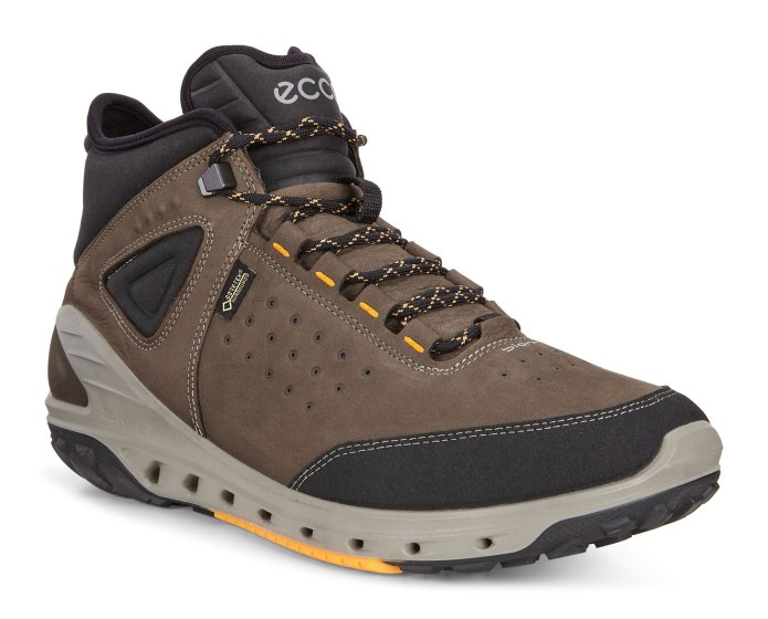 Ecco Golf Biom Hybrid