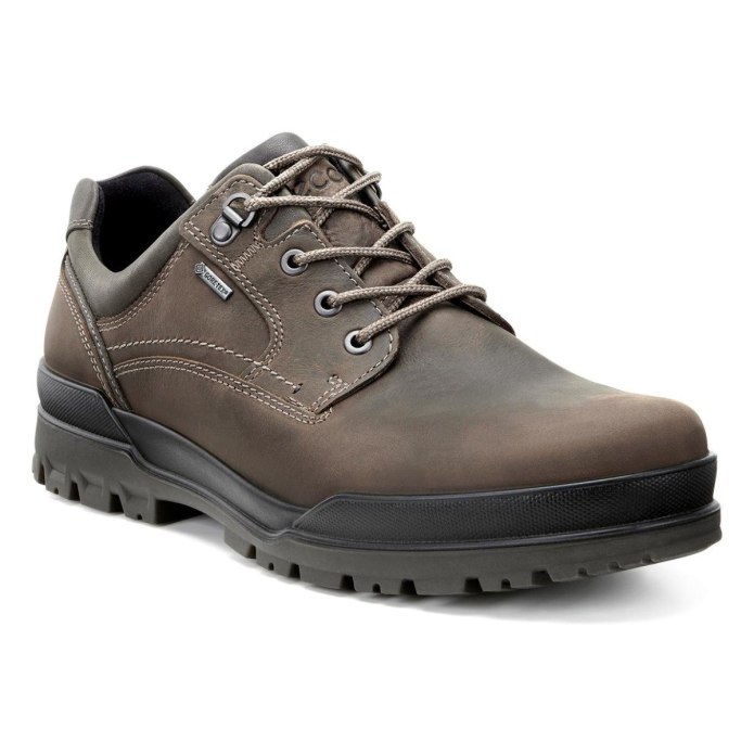 Ботинки ecco Jamestown Black