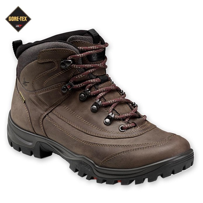 4500307 Ecco