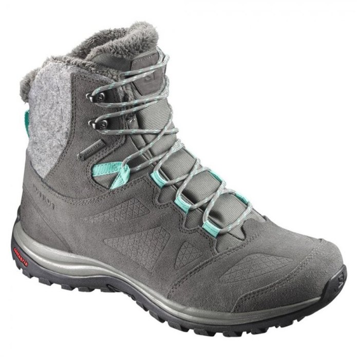Salomon Ellipse Winter GTX