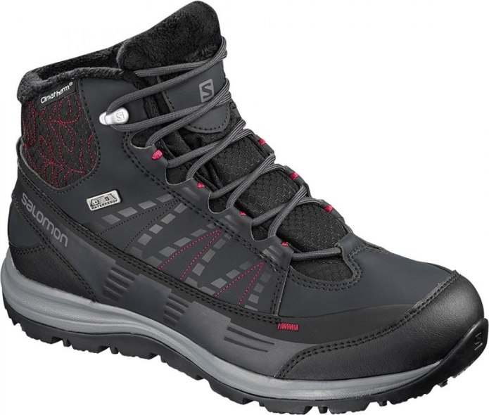 Ботинки Salomon kaina CS wp 2