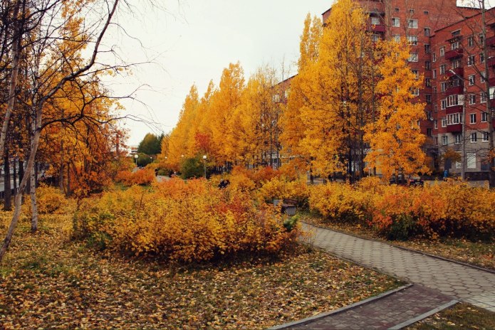 Оленегорск (Мурманская область)