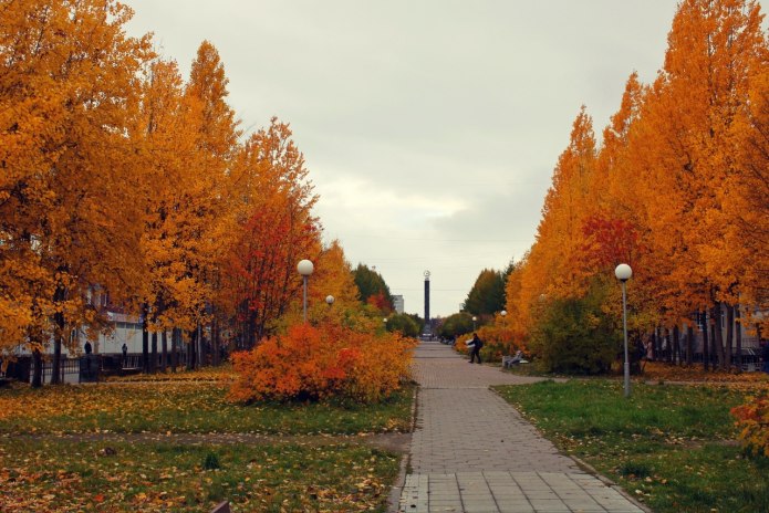 Оленегорск (Мурманская область)