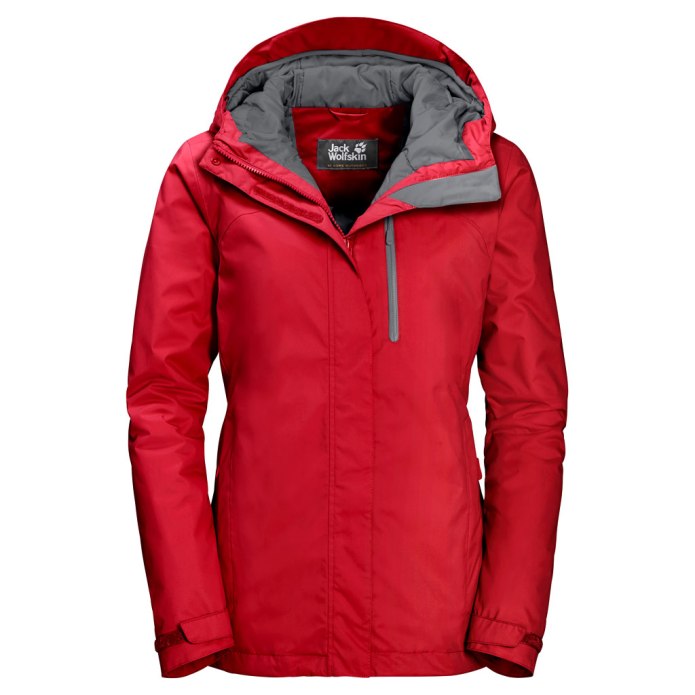 The North face 1996 Retro Nuptse