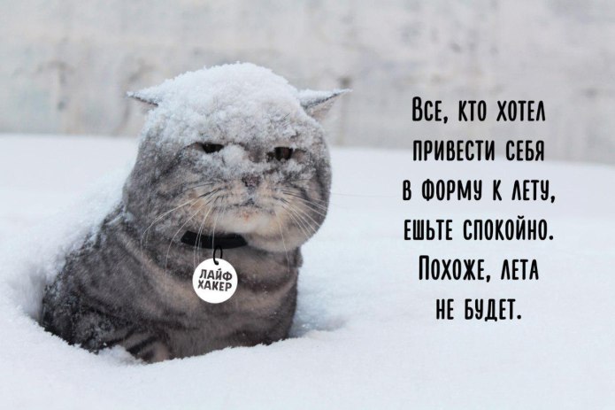 Холодное лето Мем