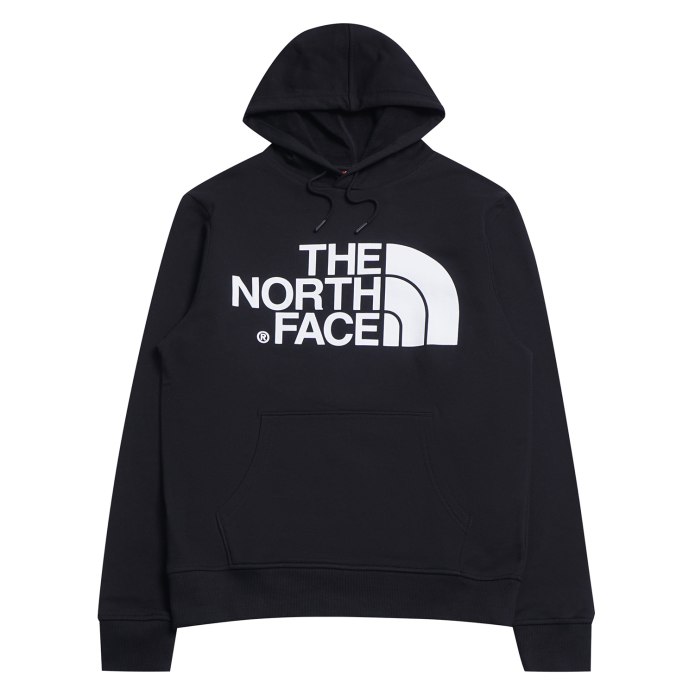 Худи the North face TNF