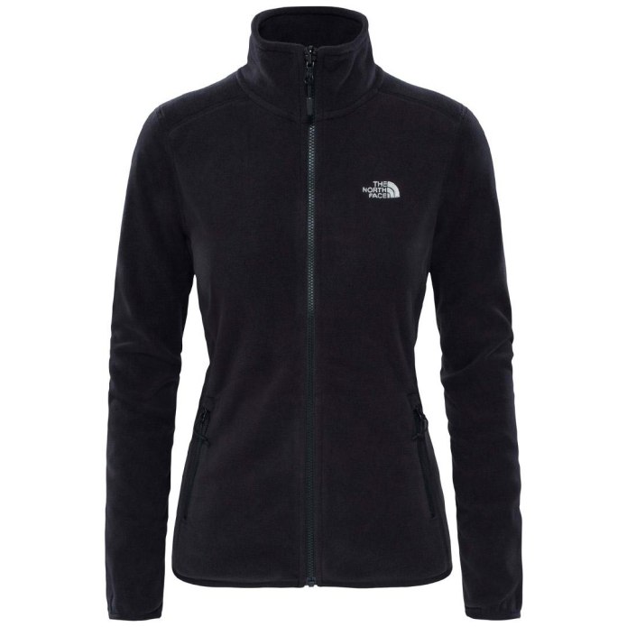 Толстовка the North face m 100 Glacier FZ