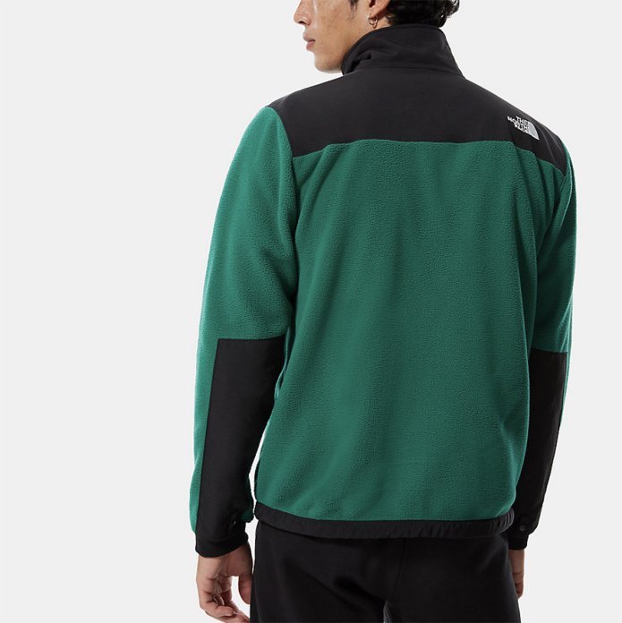 Толстовка the North face Denali 2 JKT