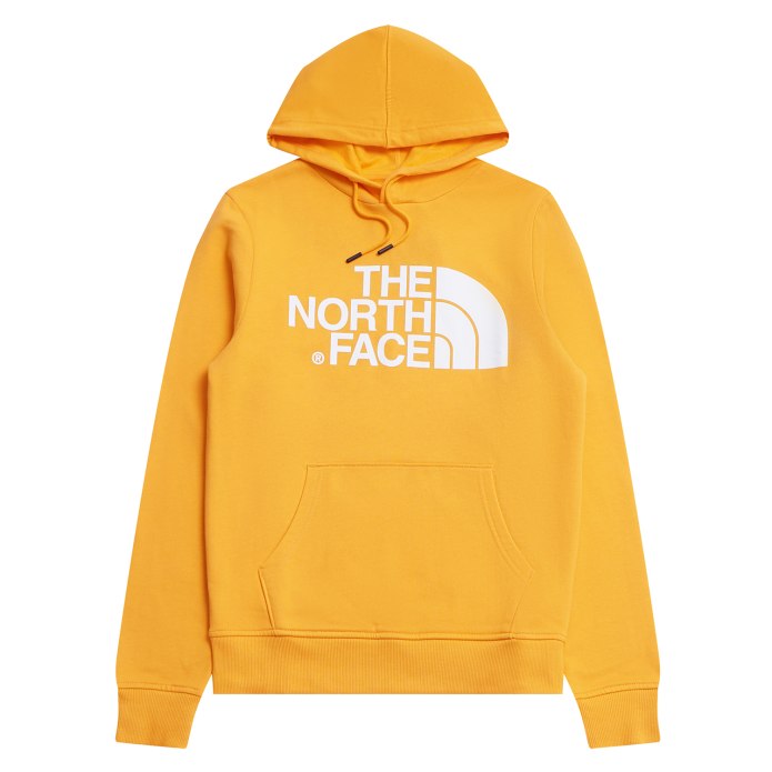Толстовка m Standard Hoodie the North face