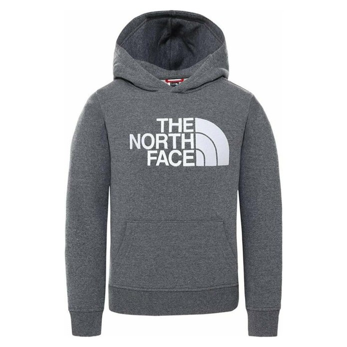The North face кофта с капюшоном