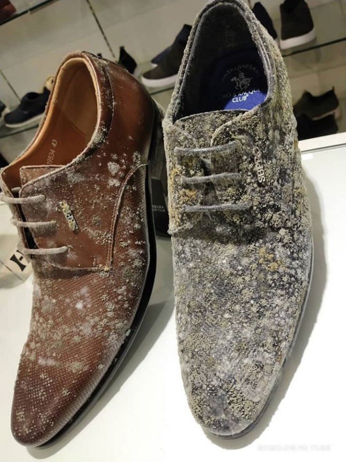 Shell Cordovan Horween Leather