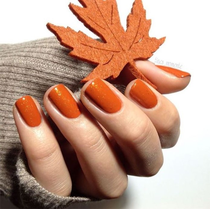 Pantone 19-1662 Samba — Самба