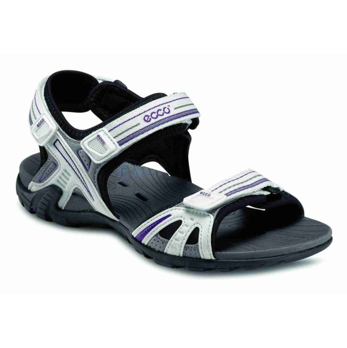 Ecco Cayla