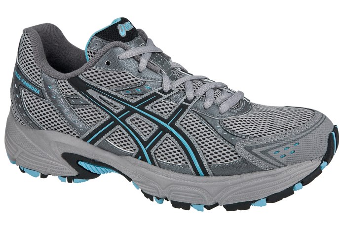 ASICS Trail Tambora серые