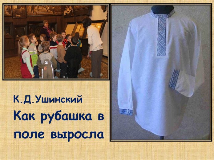 Как рубашка в поле выросла
