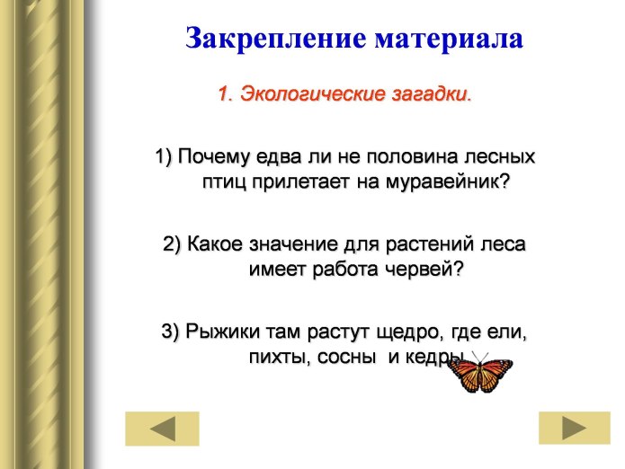Экологические загадки