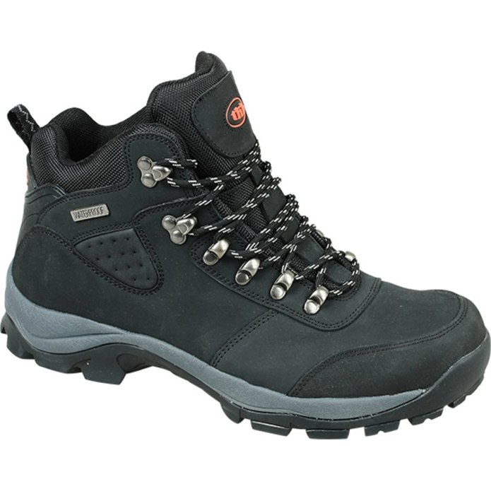 Ботинки Salomon Deemax 3 TS wp