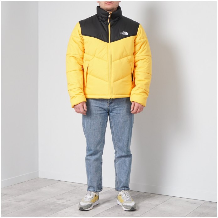 Пуховик the North face Saikuru