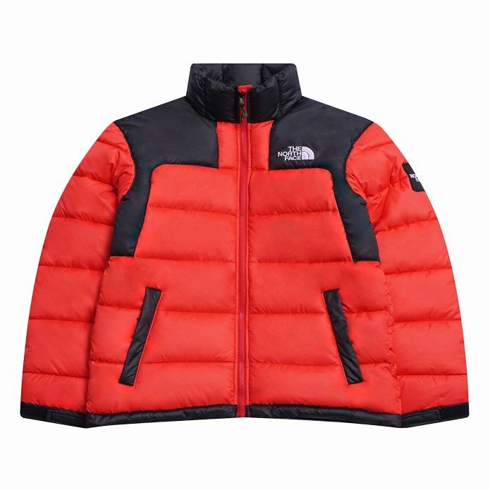 Куртка TNF на человеке