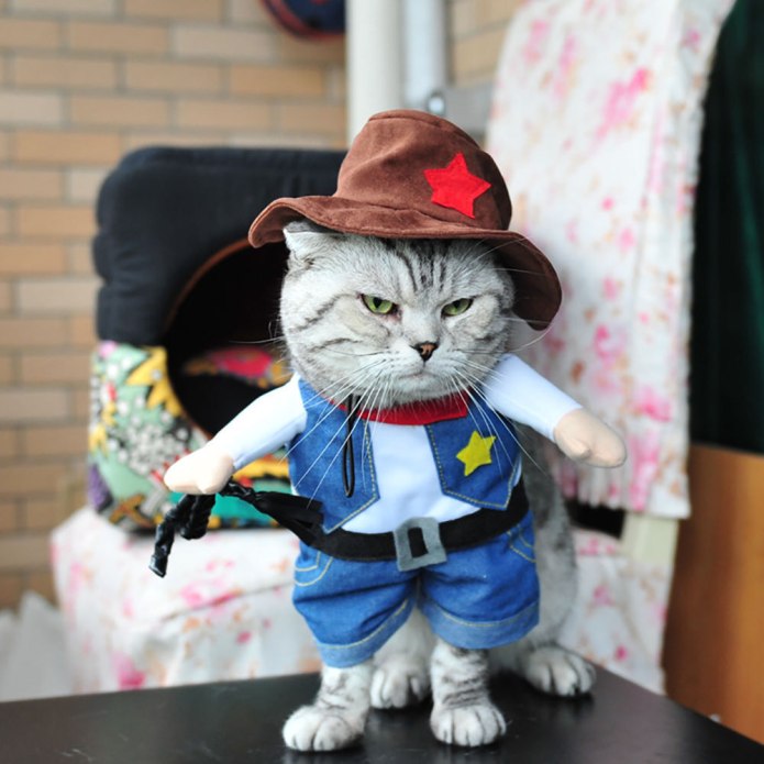 Косуха твое женская