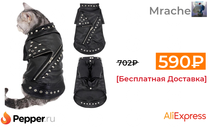 Кот в косухе