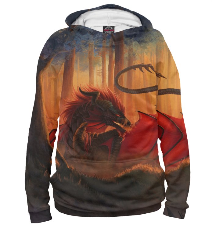 Худи Dragon